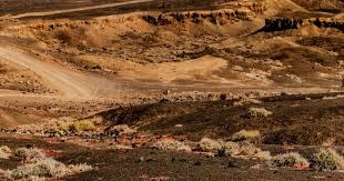 什么是“二人雀神”？解析快节奏对抗下的麻将变种逻辑。（揭秘“二人雀神”：快节奏对抗下的麻将变体逻辑解析）